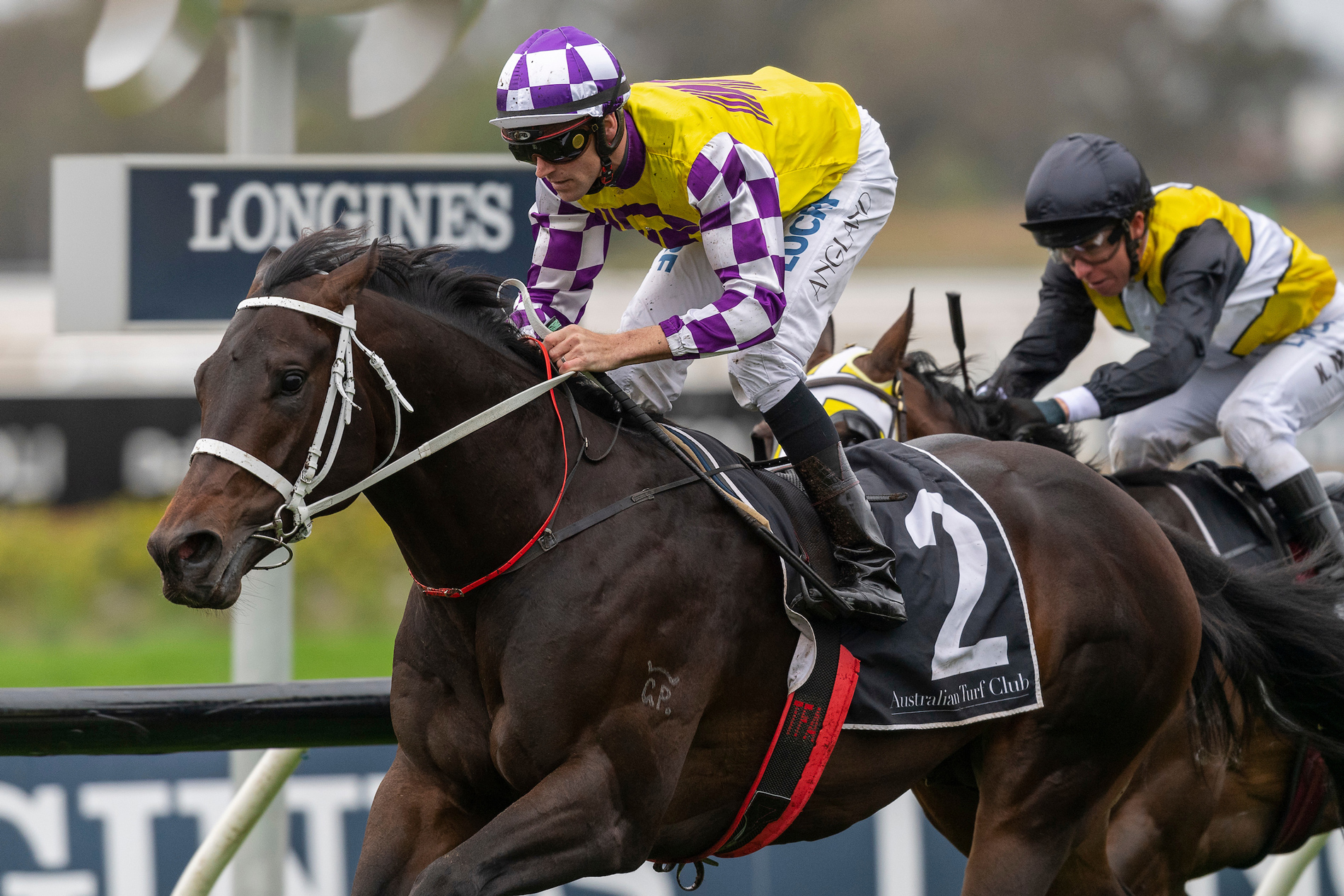https://www.stallions.com.au/wp-content/uploads/2019/09/Lean-Mean-Machine-Run-To-The-Rose-by-web.jpg