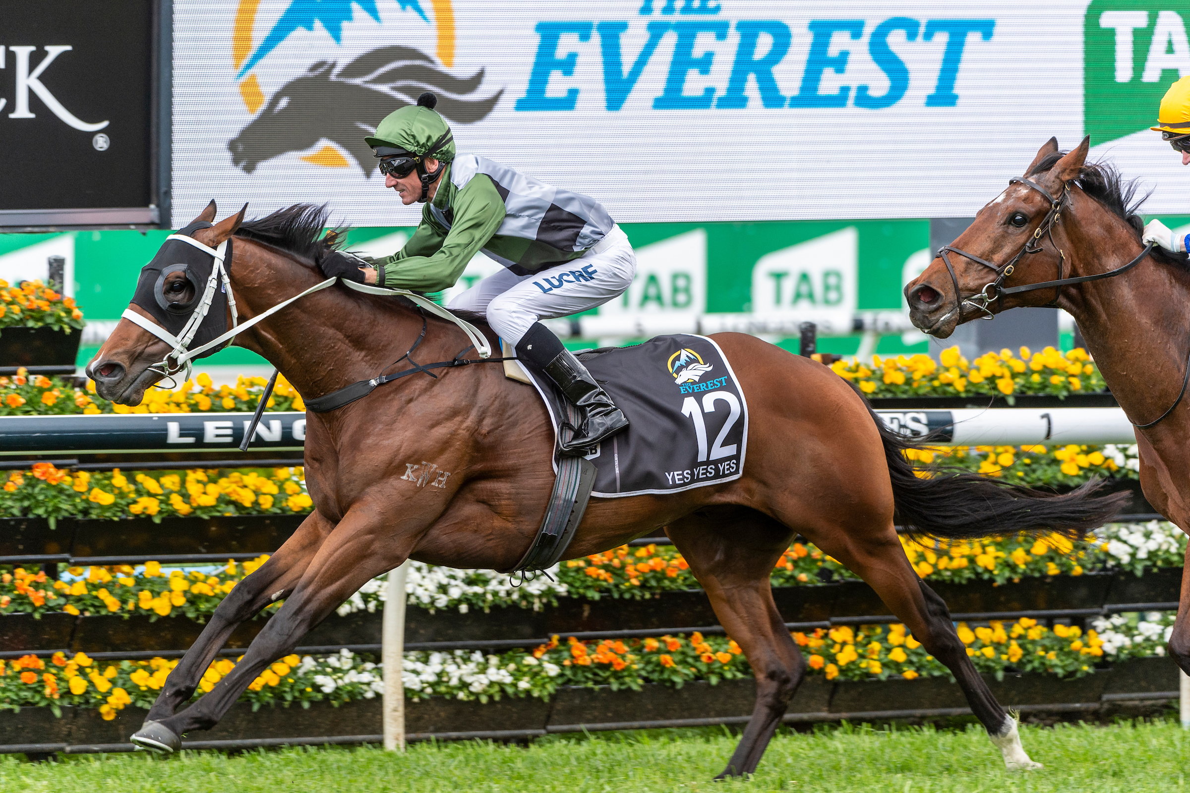 Yes Yes Yes (Rubick - Sin Sin Sin) ridden by Glen Boss wins the 2019 TAB Everest (1200m) at Royal Randwick. 
19 October 2019 
© The Image is Everything - Bronwen Healy & Darren Tindale Photography  
Photo: Darren Tindale - The Image is Everything