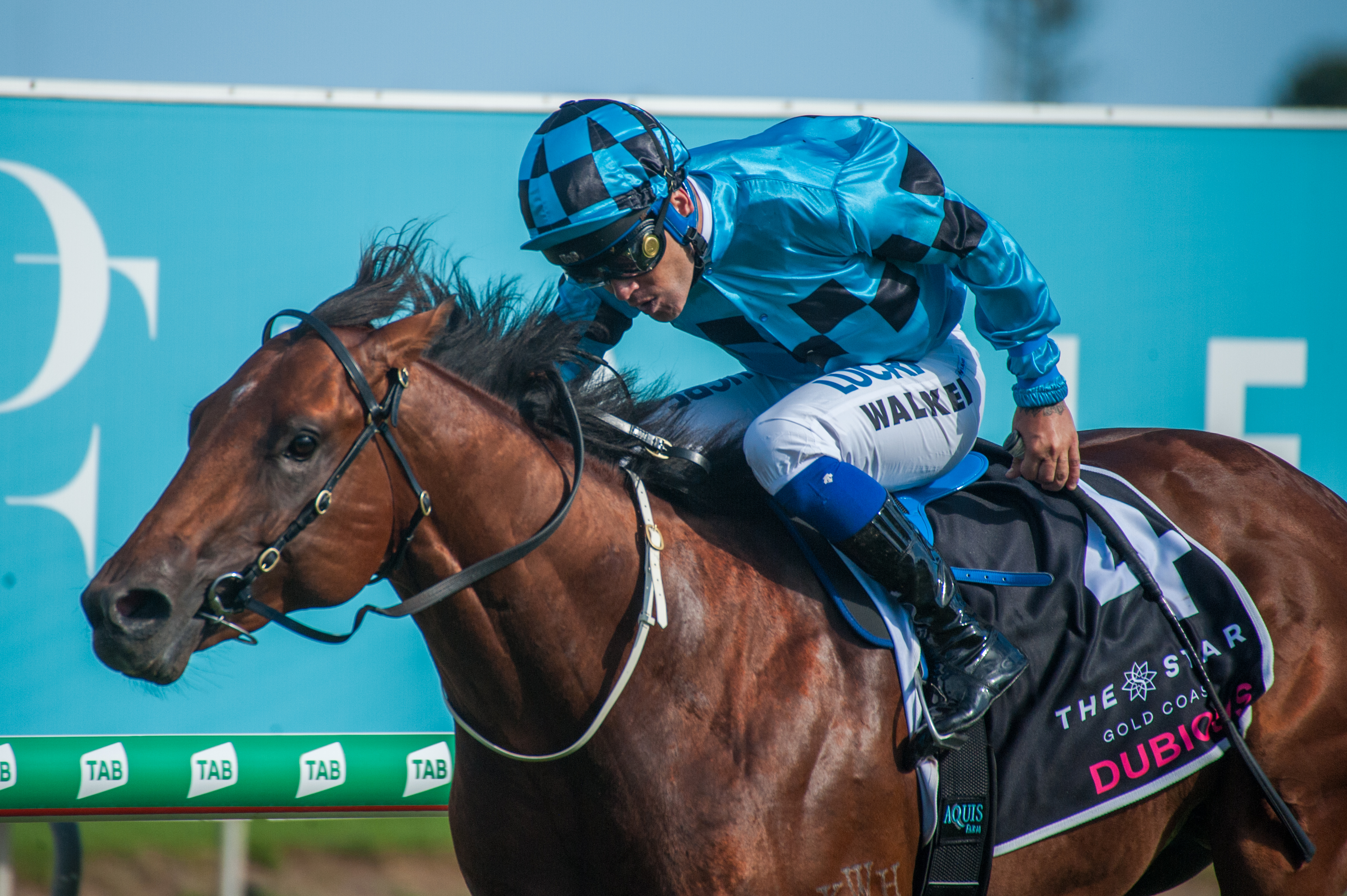 https://www.stallions.com.au/wp-content/uploads/2020/05/Race-8-Dubious-Michael-Walker_12-01-19-MM-Mark-Lee_0709.jpg