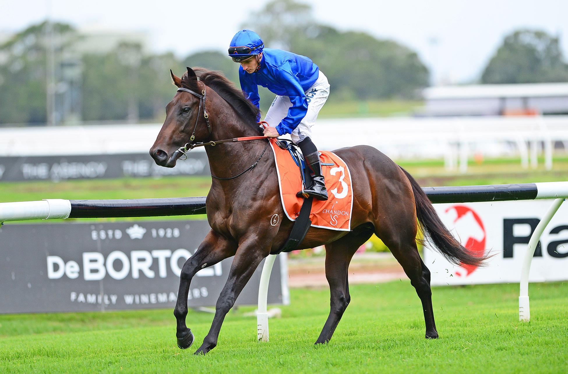 https://www.stallions.com.au/wp-content/uploads/2020/05/TASSORT-1-Silver-Slipper-LisaGrimm-NEWGATE_resized4-16-2020-9-13-1-39.jpg