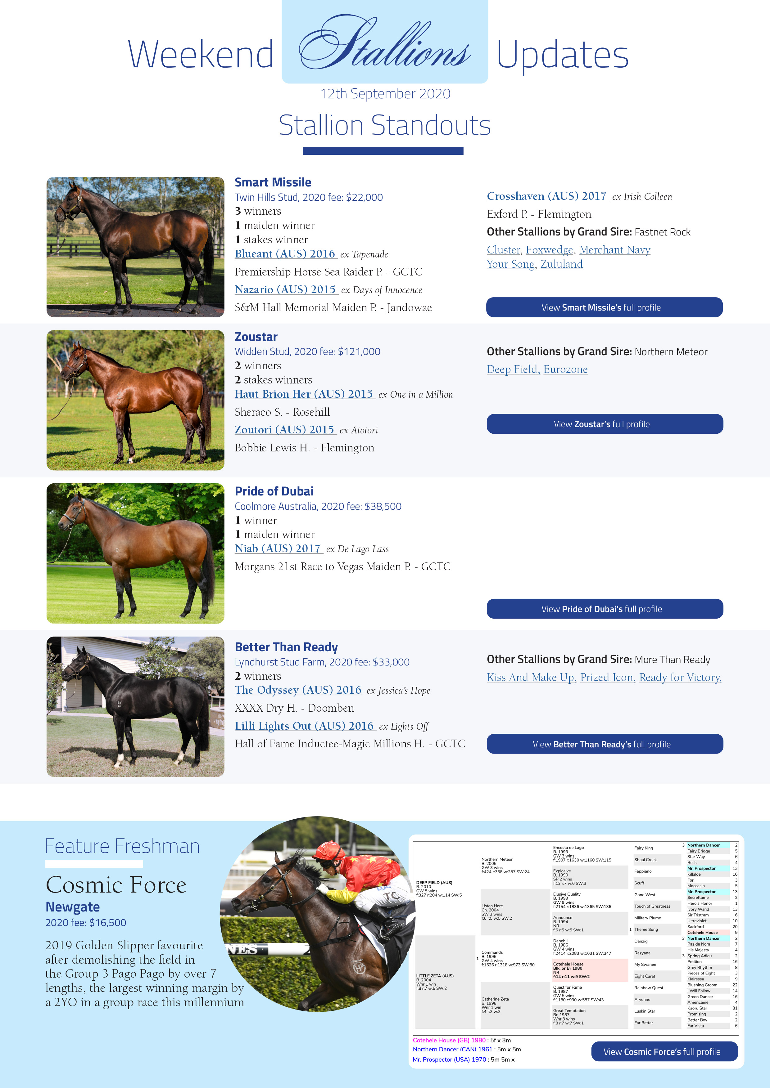 https://www.stallions.com.au/wp-content/uploads/2020/09/12-09-2020-1.jpg