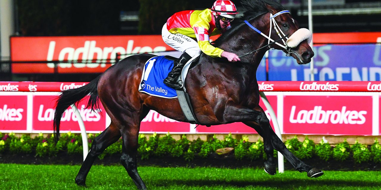 https://www.stallions.com.au/wp-content/uploads/2020/12/glenfiddich-stutt-stakes273217-1280x640.jpg