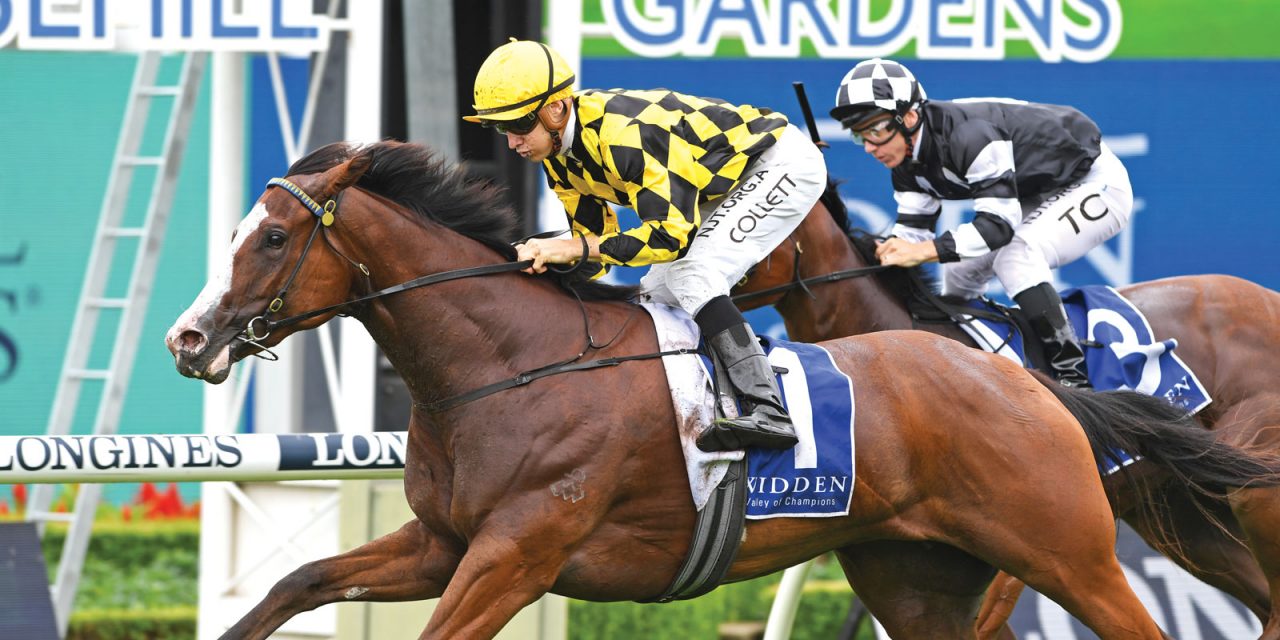 https://www.stallions.com.au/wp-content/uploads/2021/03/MALLORY-Widden-Stakes-6-30012021-AF-1280x640.jpg