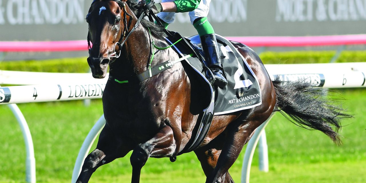 https://www.stallions.com.au/wp-content/uploads/2021/12/PROFONDO-3-Arrowfield-Spring-Champion-Stakes-1280x640.jpg