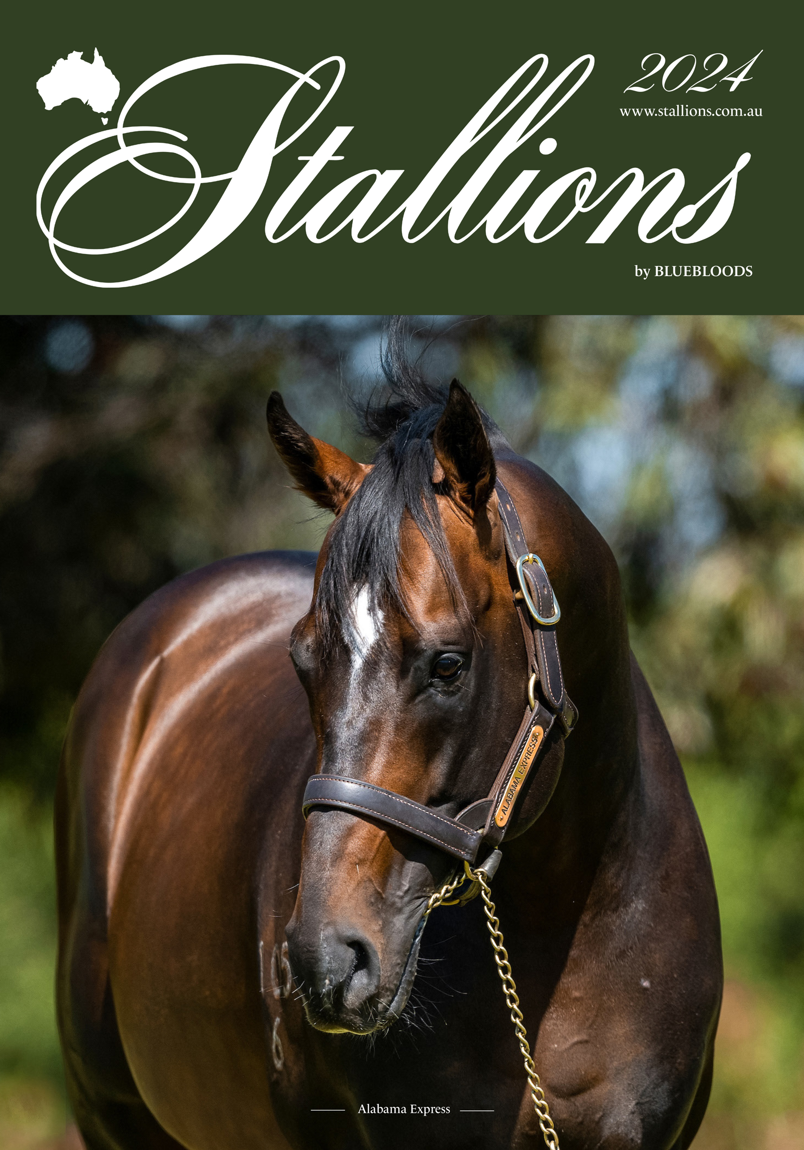 https://www.stallions.com.au/wp-content/uploads/2024/03/cover-all-elements2024.jpg